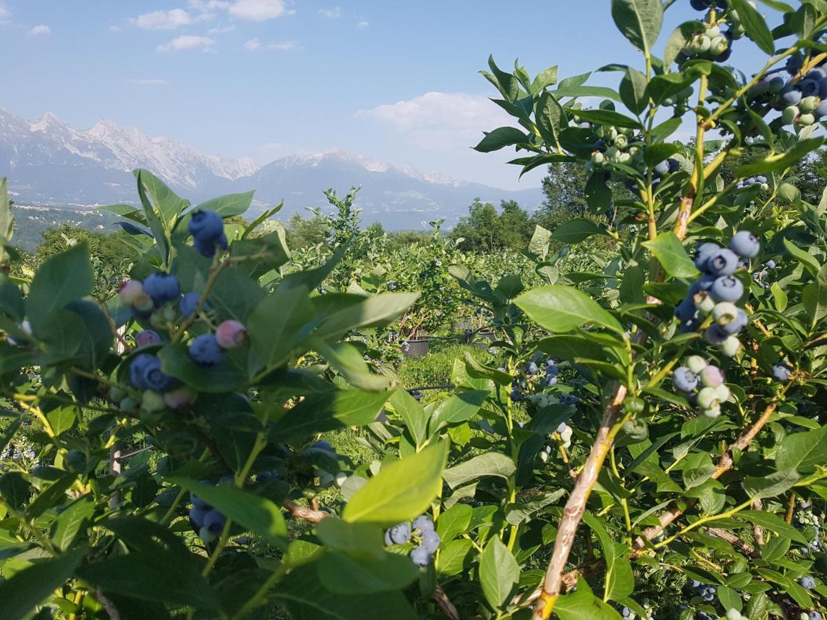 AGRITURISMO La Giasena Ponte nellʼAlpi Exterior foto